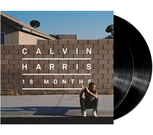 18 Months (2LP)