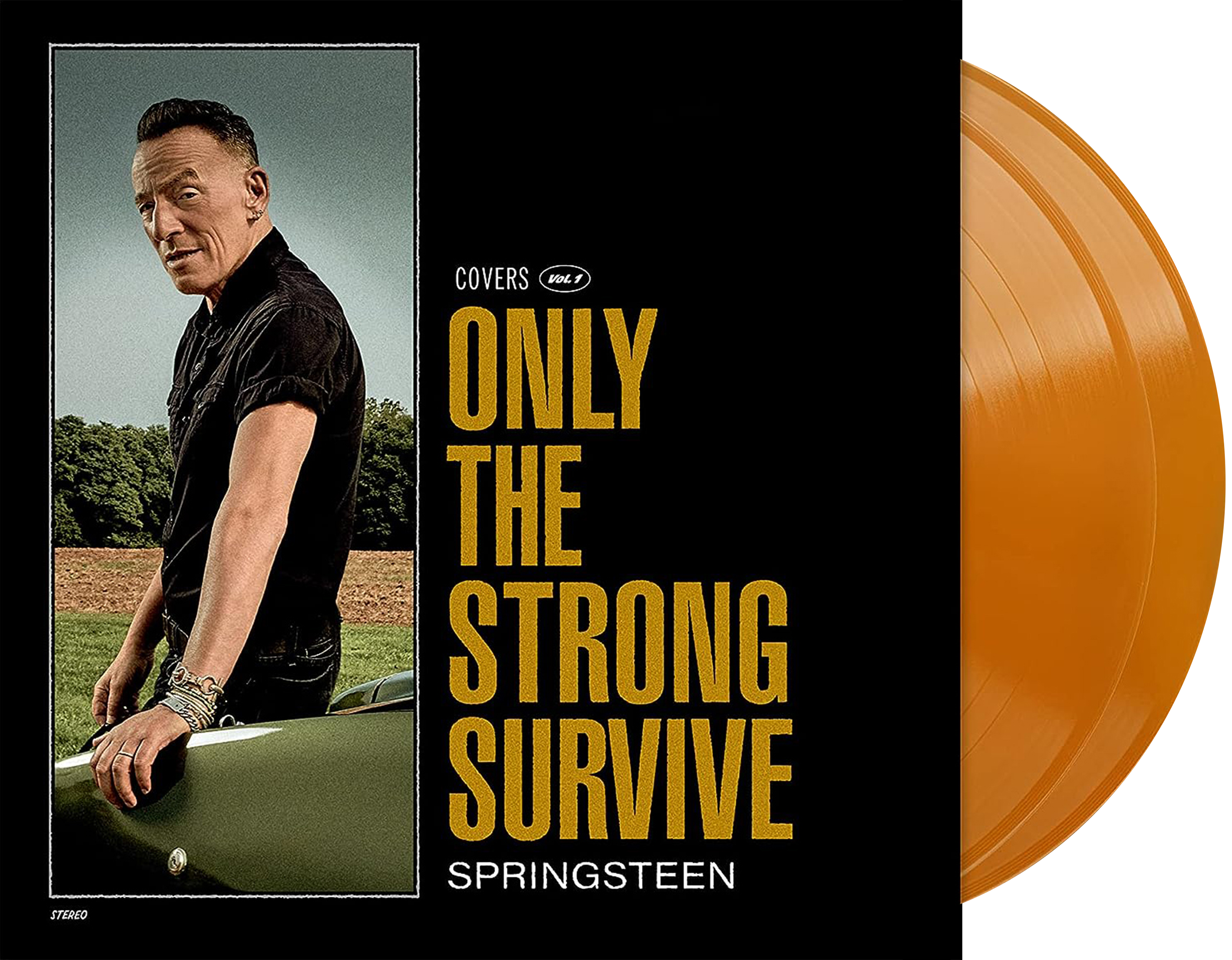 Bruce Springsteen – Only the Strong Survive (Orange 2LP)