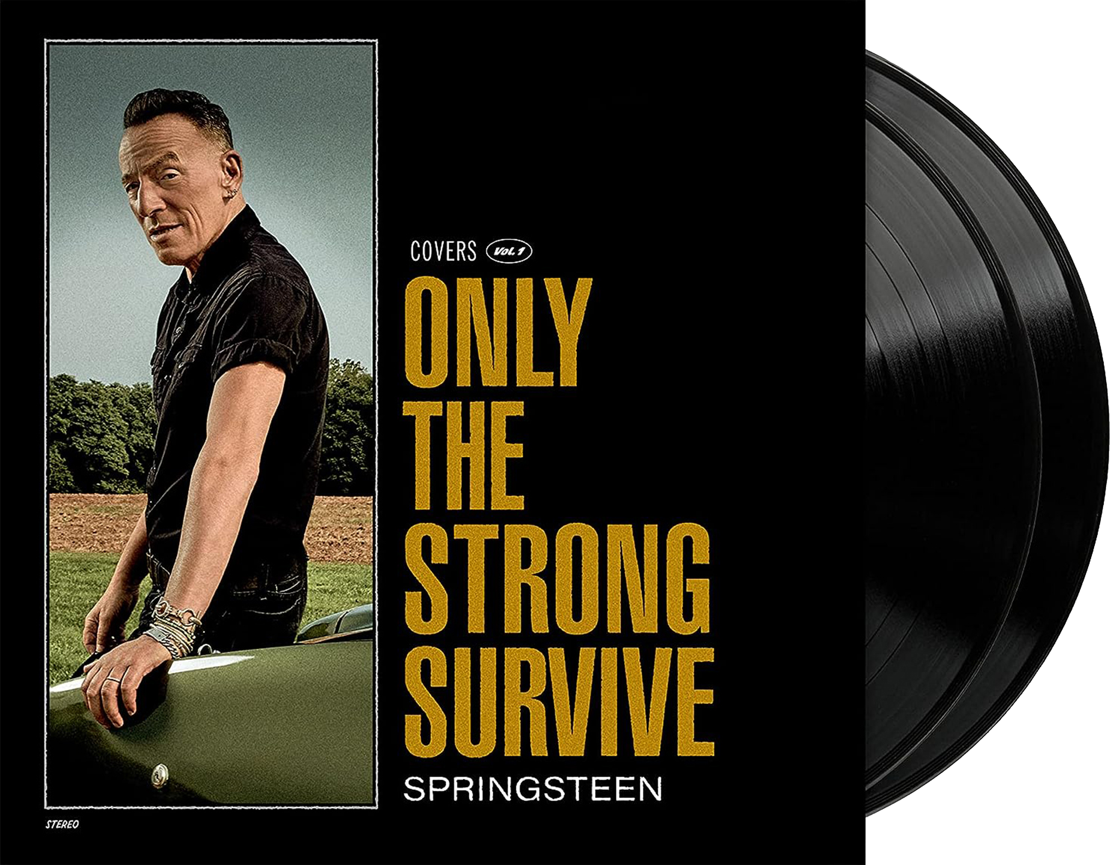 Bruce Springsteen – Only the Strong Survive (2LP)