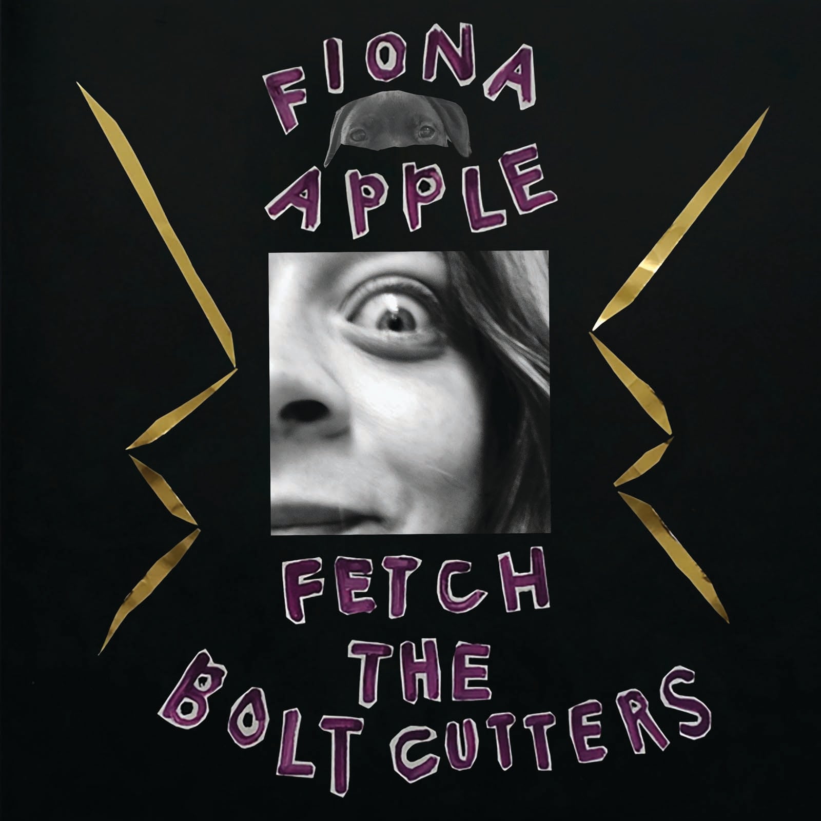 Fiona Apple – Fetch The Bolt Cutters (CD)