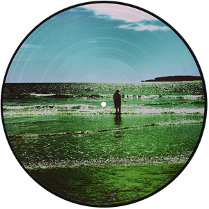 The Ultra Vivid Lament (Picture Disc)