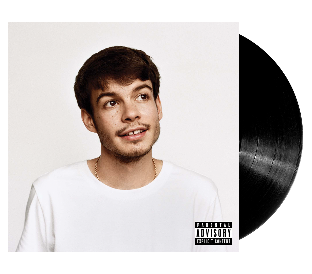 Rex Orange County – Pony (LP)