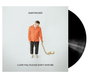 I Love You, Please Don't Hate Me (LP)