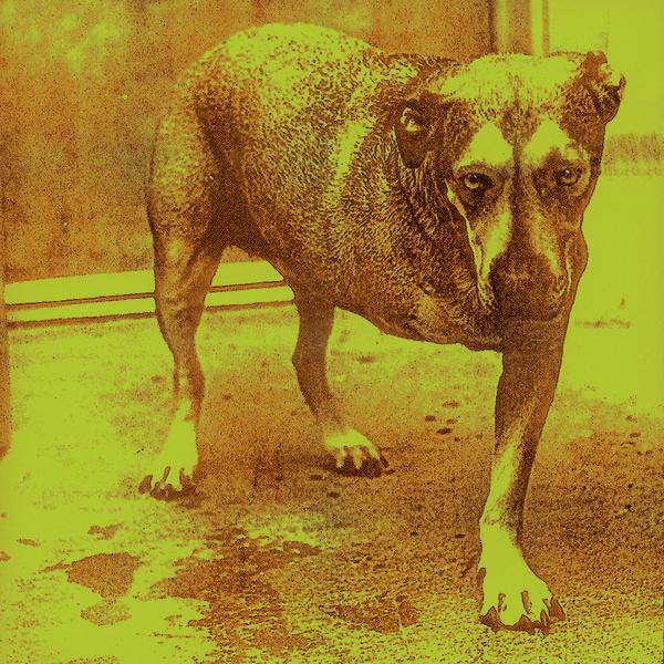 Alice In Chains – Alice In Chains (CD)